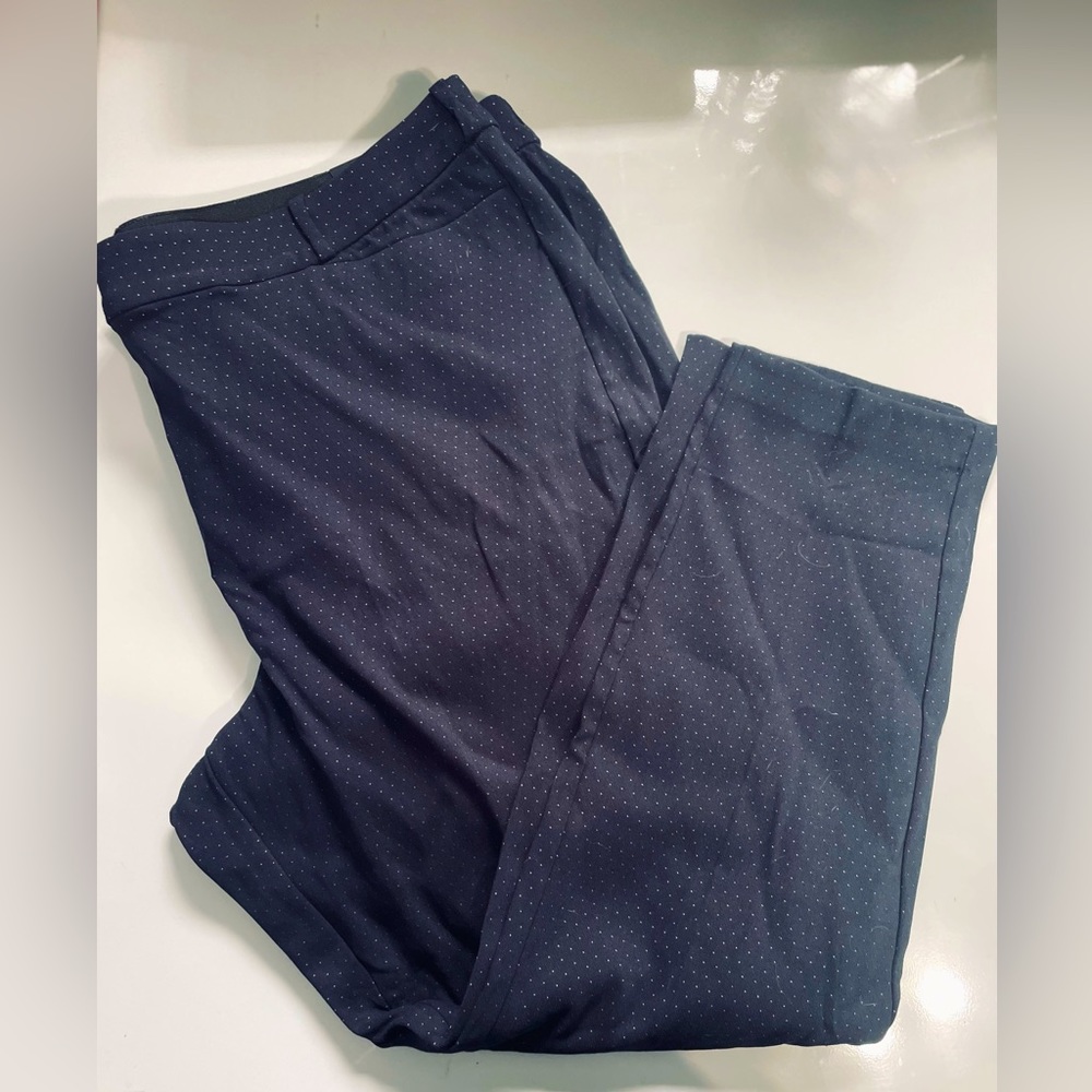 NWT Dress Pants